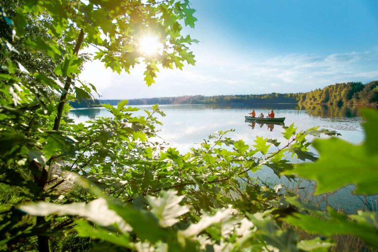 beste vakantieparken in de kempen